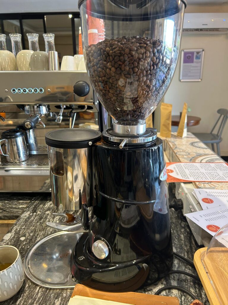 whatsapp image 2026 01 08 at 4.38.42 am